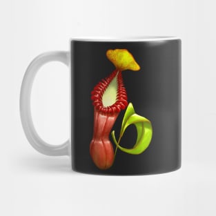 Carnivorous Plant Nepenthes Edwardsiana Botanical Pitcher Plant Mug